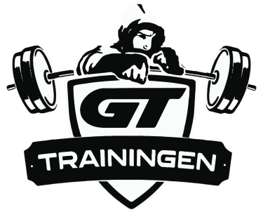 Logo GT Trainingen